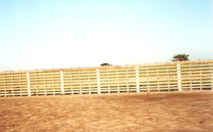 grandes corrales ganado corrales para ganado lechero grande corral ganado bovino corrales para ganado ovino modelos de corrales para ganado diseño de corrales para ganado vacuno planos 008 grandes corrales ganado corrales para ganado lechero grande corral ganado bovino corrales para ganado ovino modelos grandes corrales ganado corrales para ganado lechero grande corral ganado bovino corrales para ganado ovino modelos de corrales para ganado diseño de corrales para ganado vacuno planos 008 de corrales para ganado diseño de corrales para ganado vacuno planos 008